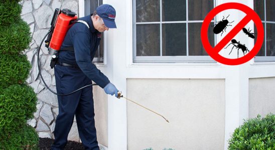 Zile Pire İlaçlama böcek ilaçlama ve haşere kontrolü — ilaclama-tr.com